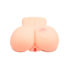 TORSO AURORA