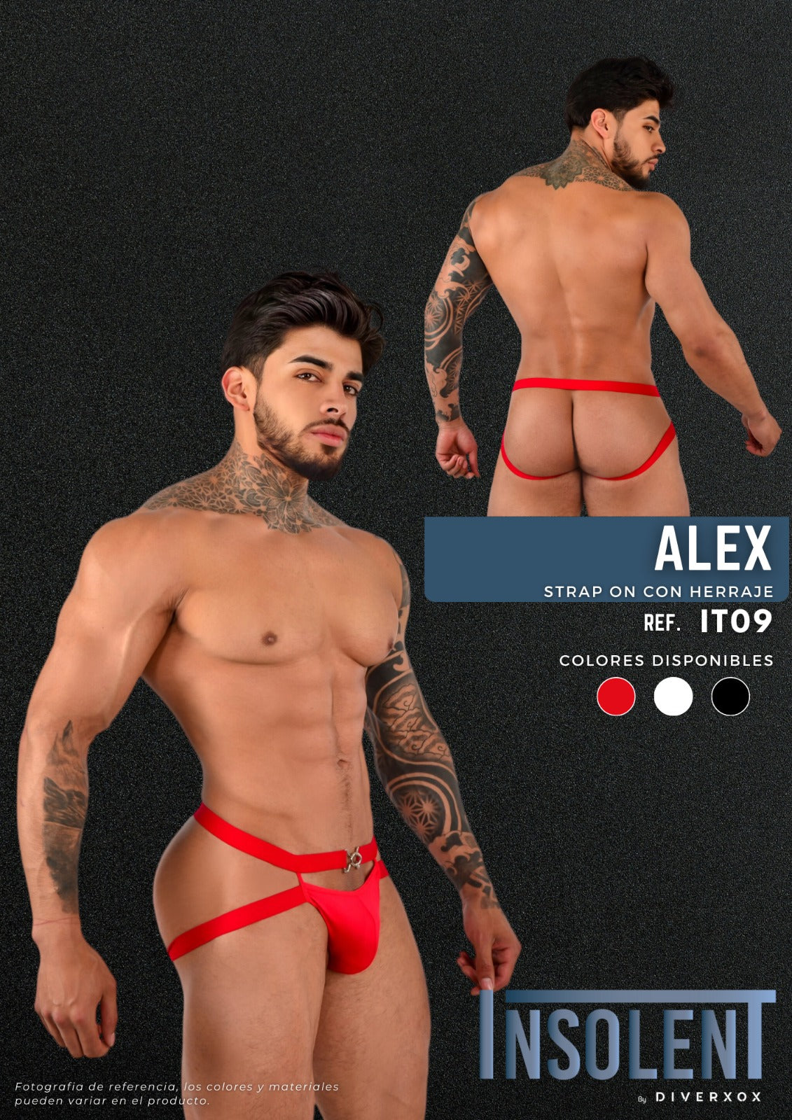BOXER ALEX