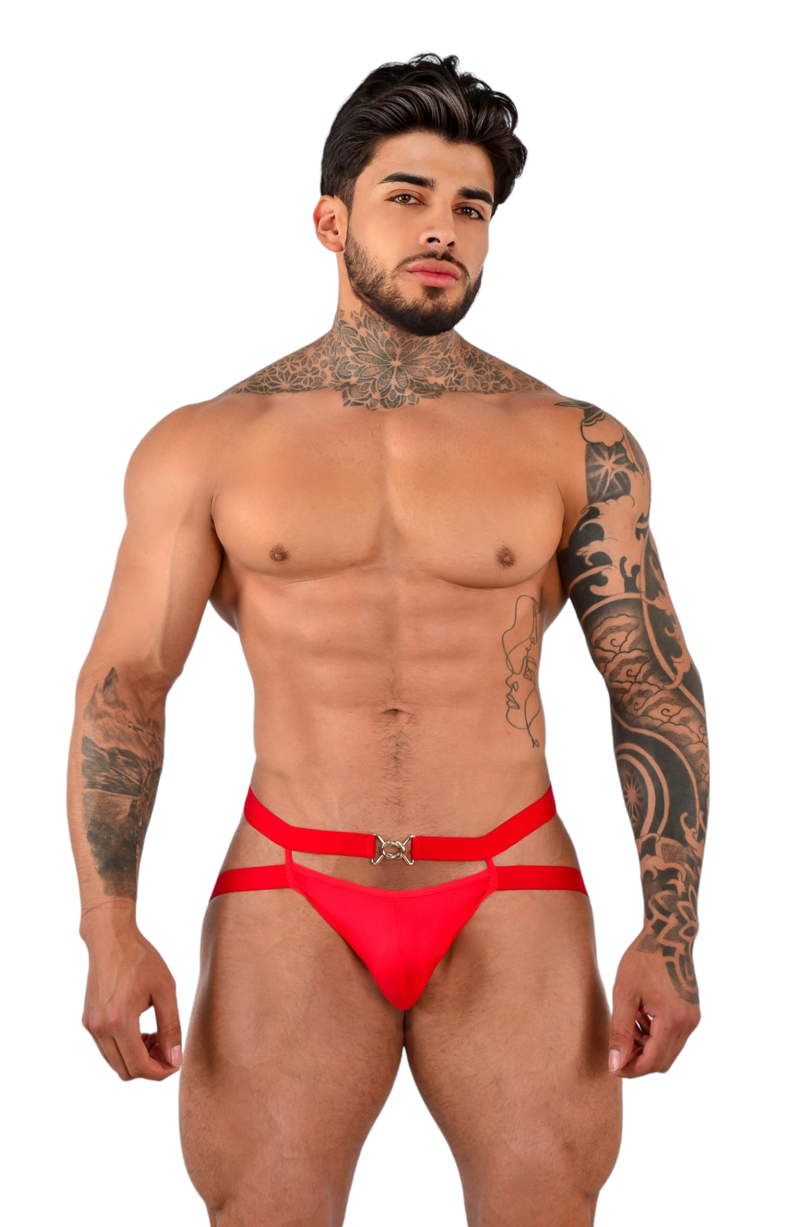 BOXER ALEX
