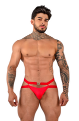 BOXER ALEX