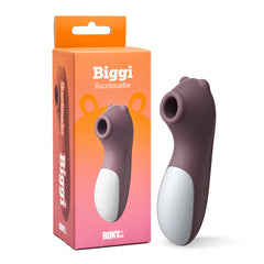 SUCCIONADOR BIGGI PILAS