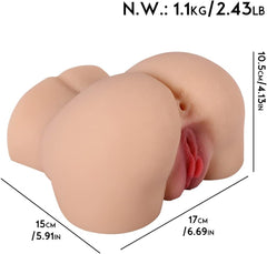 TORSO ANDROMEDA